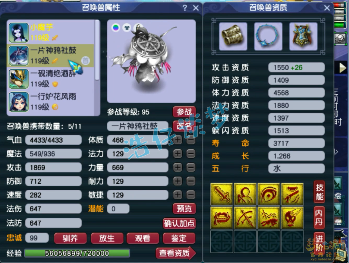 梦幻西游无底洞109级固伤装备展示