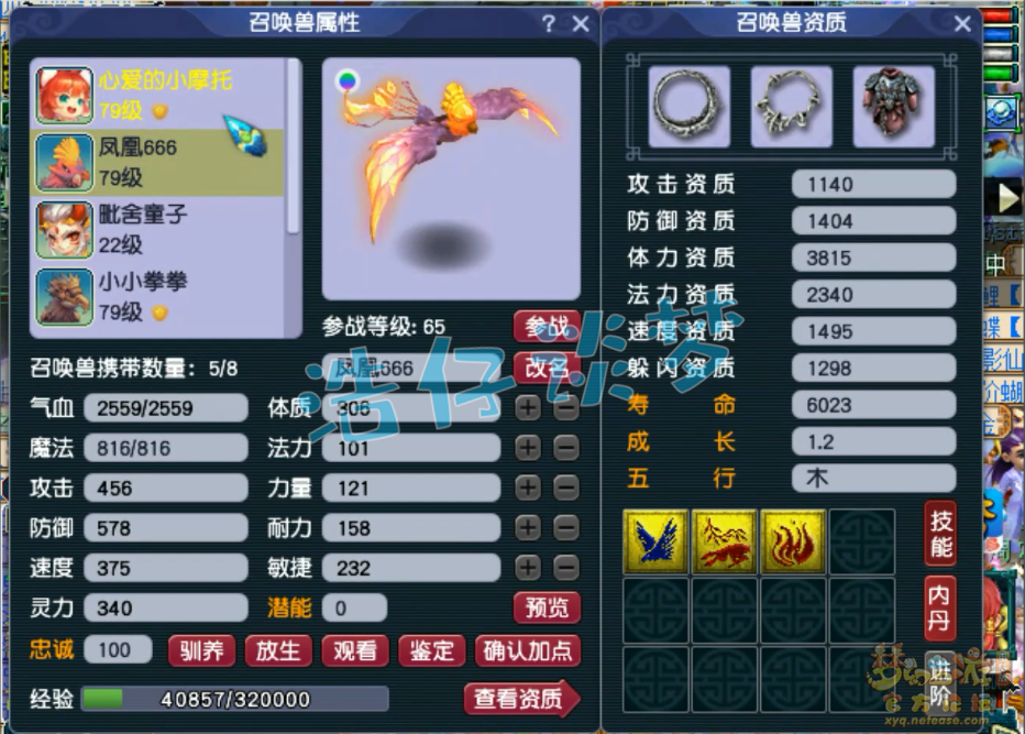 梦幻西游70神木林展示