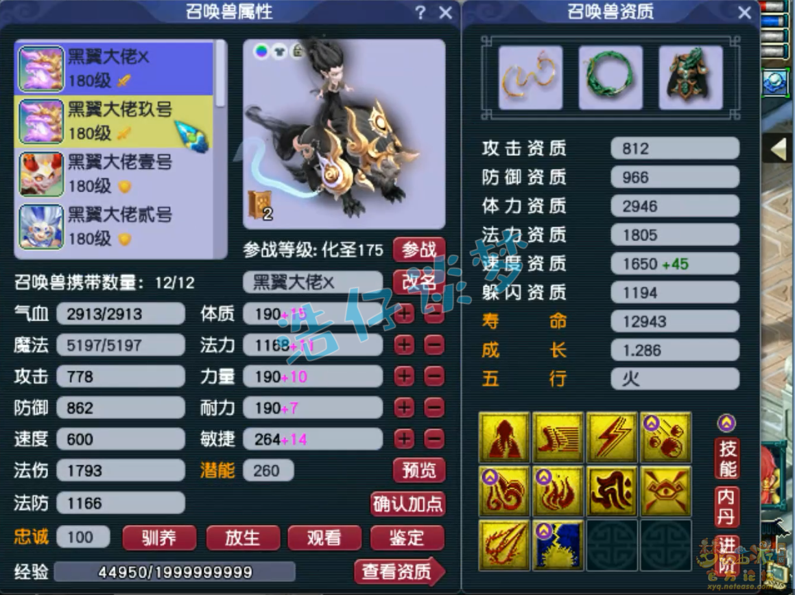 梦幻西游力普陀展示175