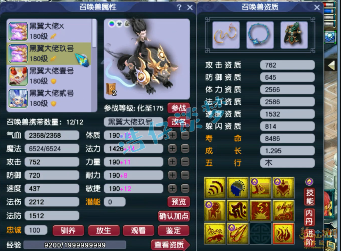 梦幻西游力普陀展示175