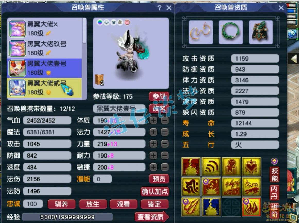 梦幻西游力普陀展示175