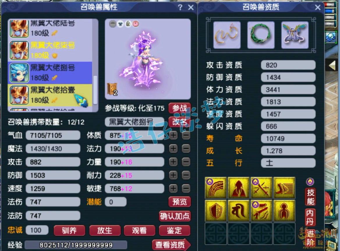 梦幻西游力普陀展示175