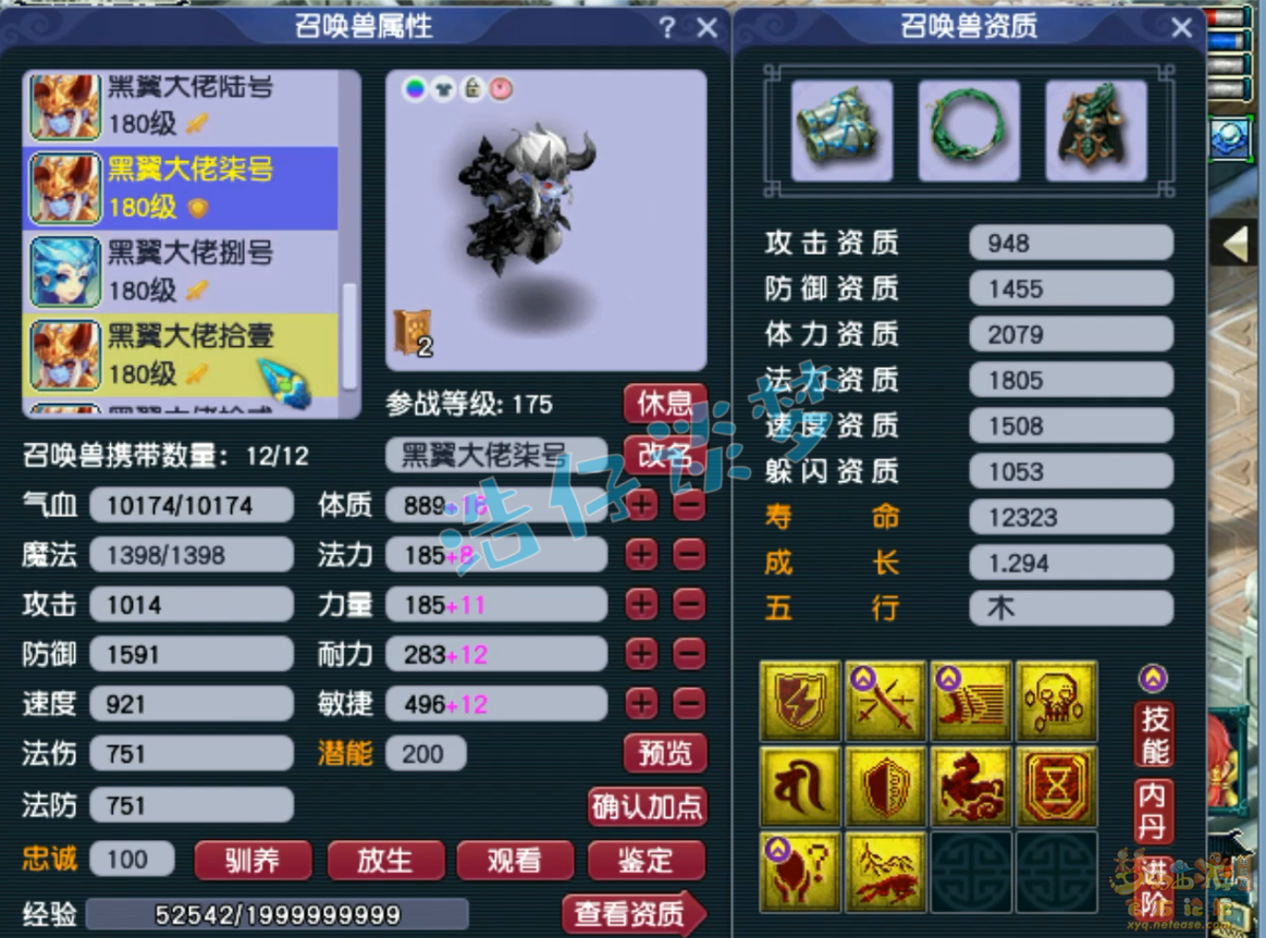 梦幻西游力普陀展示175