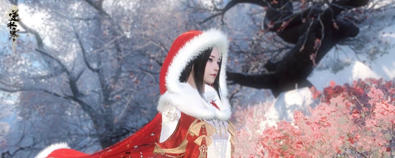 逆水寒商城买的外观道具怎么一使用就消失了