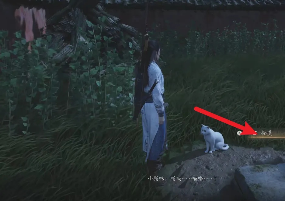 燕云十六声在哪摸猫