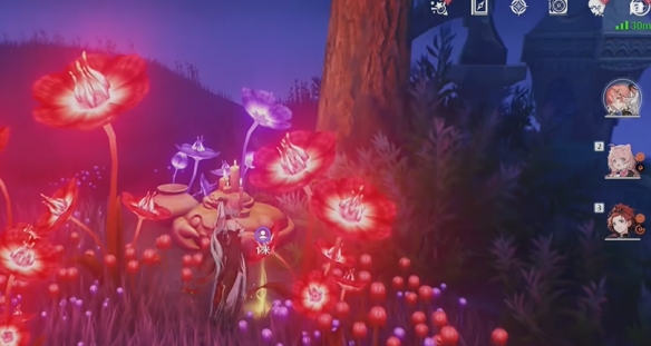 鸣潮幽夜幻梦任务攻略