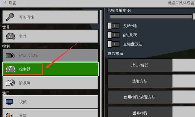 我的世界怎么隐藏鼠标指针
