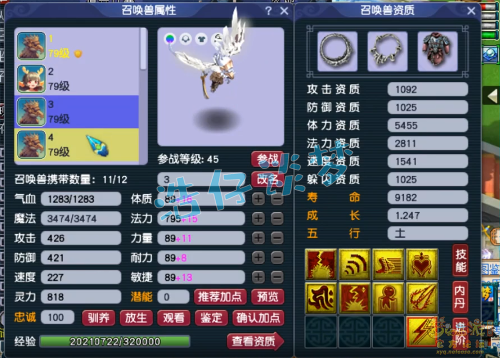 梦幻西游单挑方寸山配置69级