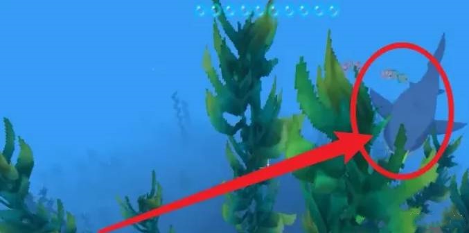 迷你世界深海鲨鱼怎么繁殖