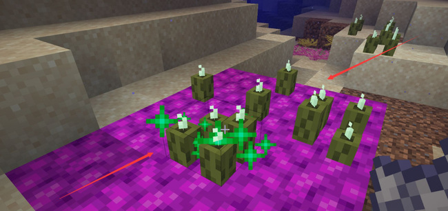 我的世界海泡菜能繁殖吗