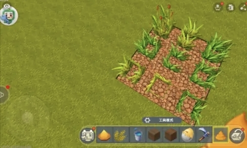 迷你世界怎么种麦子2025