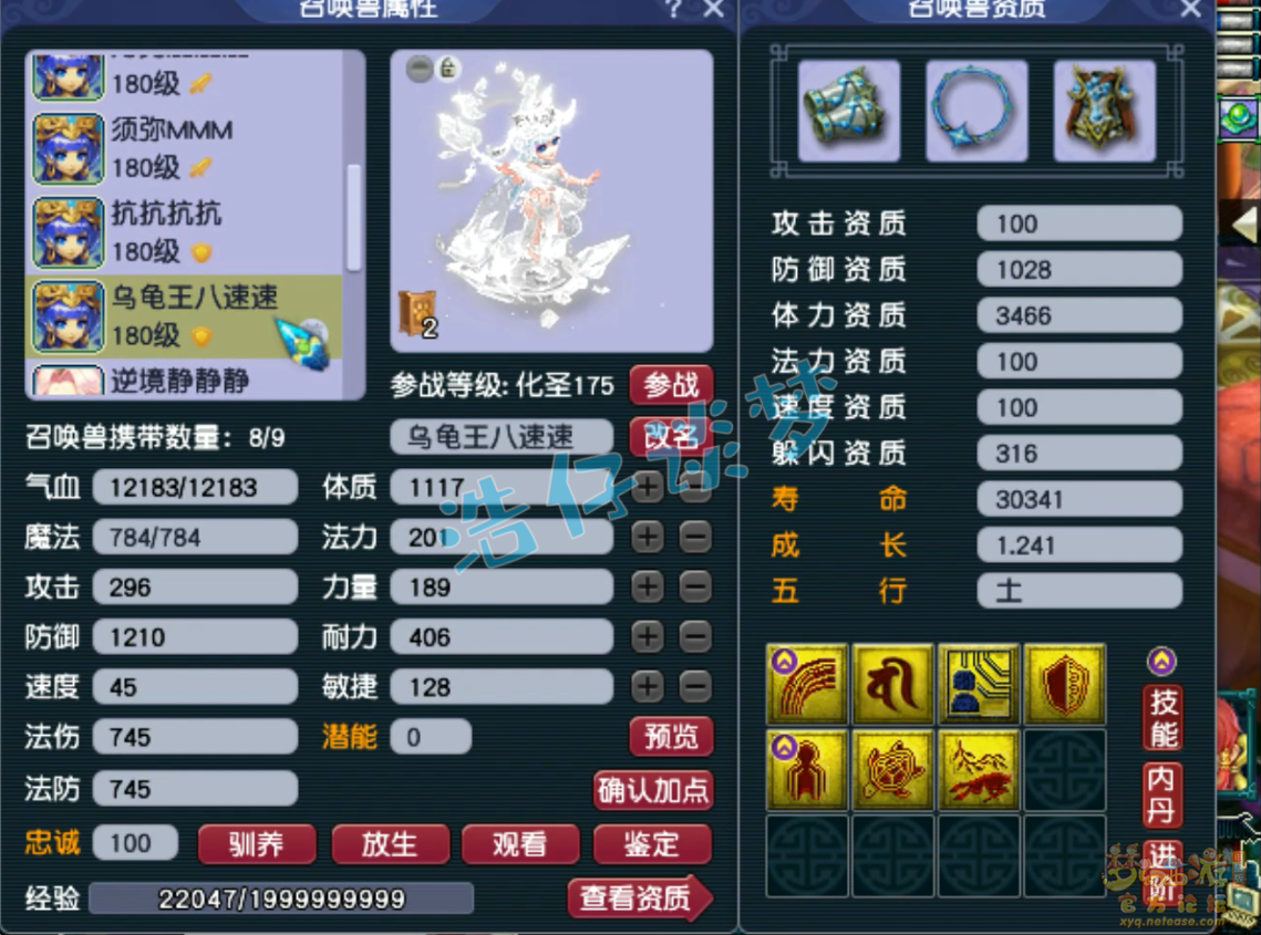 梦幻西游花果山展示175级