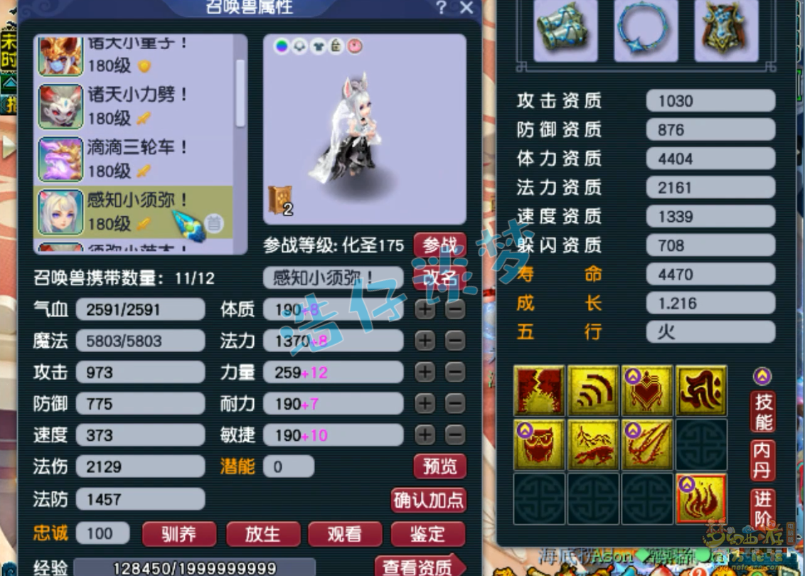 梦幻西游175物理虎贲大唐怎么穿装备