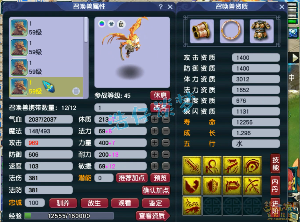 梦幻西游49级大唐属性展示