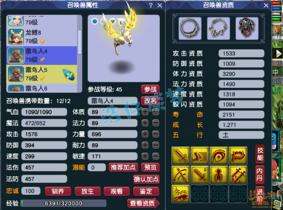 梦幻西游69固伤普陀装备搭配