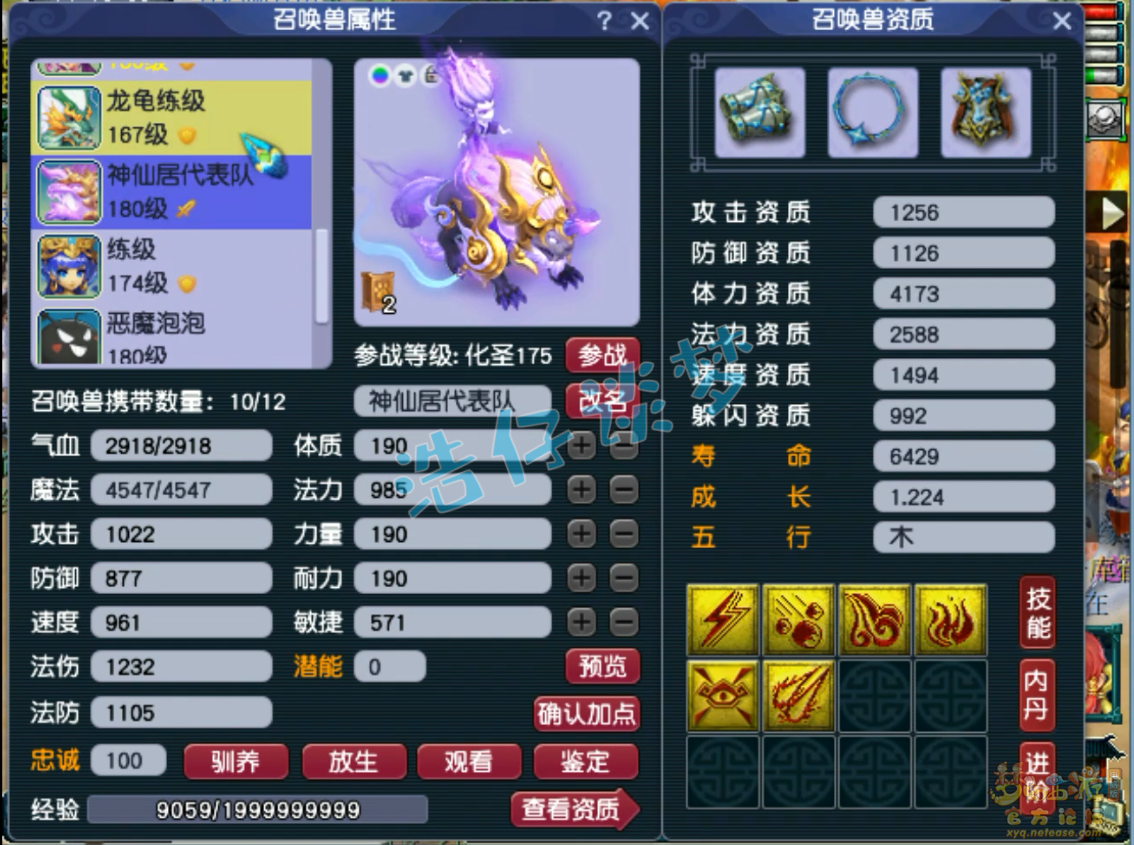 梦幻西游狮驼175任务装备展示图