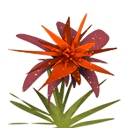 迷你世界香溢香瓜派怎么做