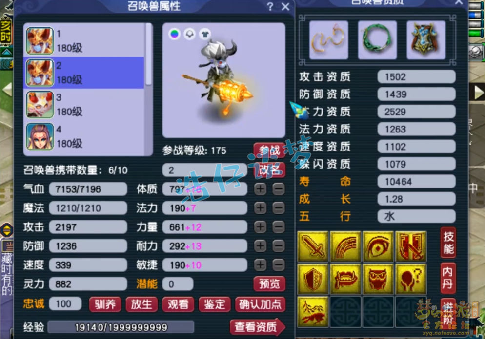 梦幻西游175神木林的装备搭配