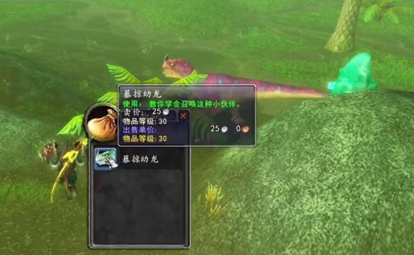 魔兽世界wlk宠物暴掠幼龙怎么获得