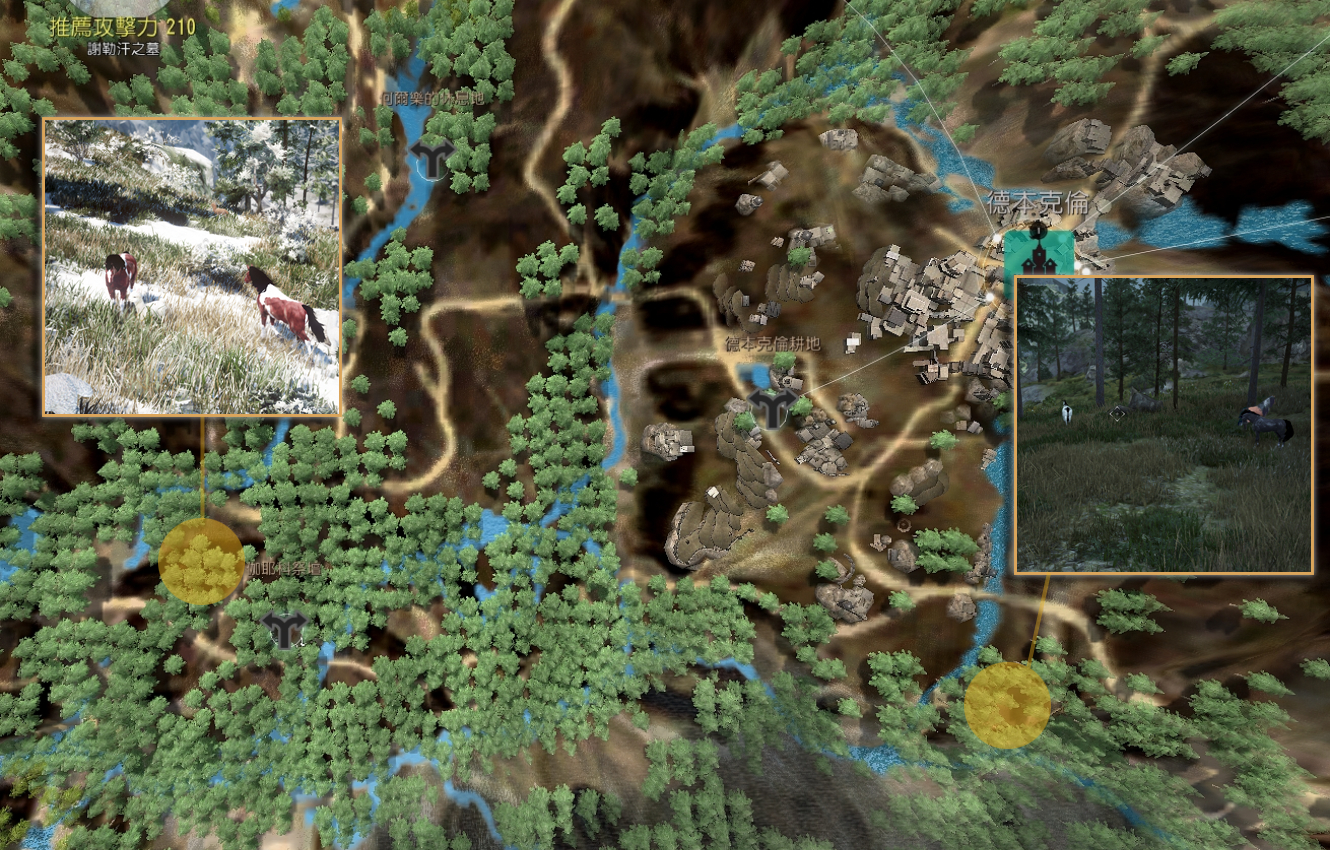 黑色沙漠野生马分布图