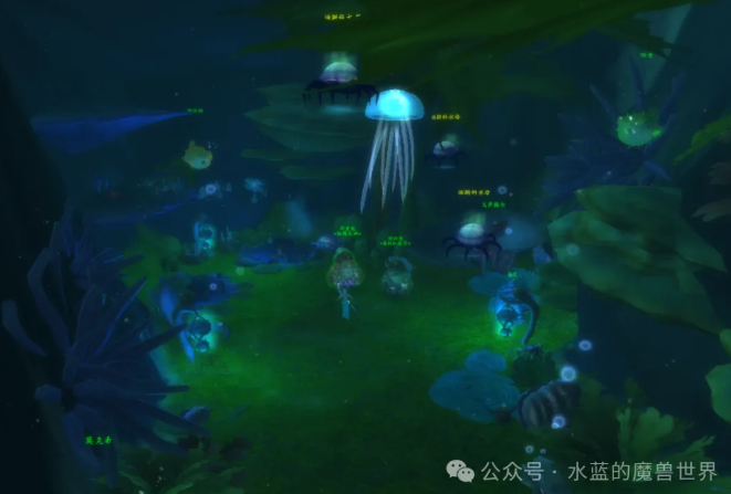 魔兽世界货箱保险专员成就攻略