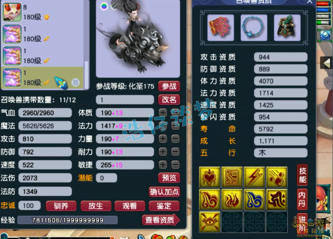 梦幻西游服战五庄观装备展示