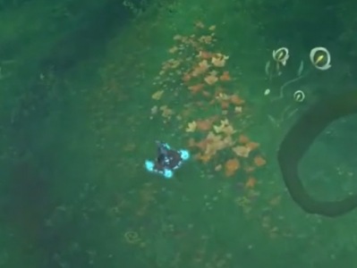 如何在魔兽世界中捕捉苏尔拉卡？