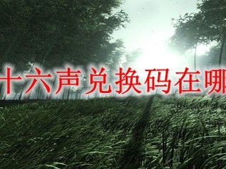 燕云十六声兑换码在哪兑换