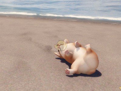 《逆水寒》新宠物柯基价格一览