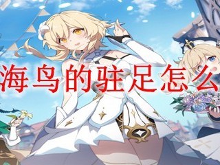 原神海鸟的驻足怎么获得