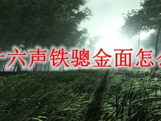 燕云十六声铁骢金面怎么装备