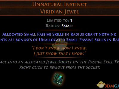 《流放之路》3.4赛季新珠宝介绍