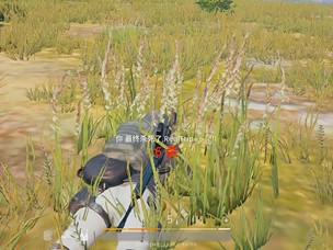 绝地求生出现global ban怎么办