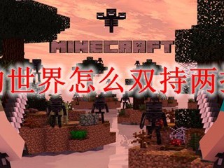 我的世界怎么双持两把剑