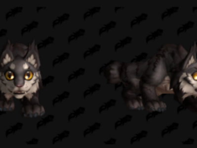 魔兽世界芒先生怎么获得