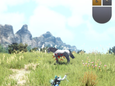 黑色沙漠野马怎么抓