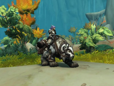 魔兽世界圣焰之耀名望奖励一览