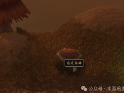 魔兽世界社区流言位置坐标一览