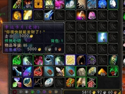 《魔兽世界》五大奢侈品一览