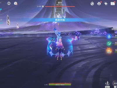 原神雷吉怎么打