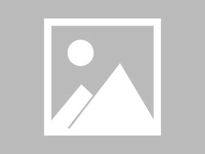 以下是《黑色沙漠》第五代宠物训练材料的概览：