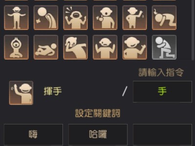 黑色沙漠如何执行社交动作？