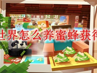 我的世界怎么养蜜蜂获得蜂蜜