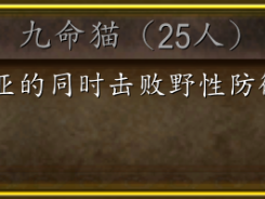 《魔兽世界》巫妖王之怒（wlk）九命猫成就获取指南