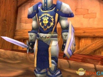 《魔兽世界》8.1战袍共享条件