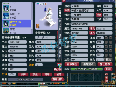 梦幻西游九黎装备109级展示