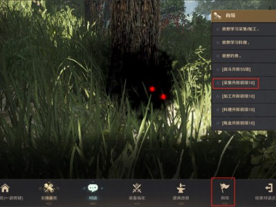 黑色沙漠采集任务有哪些