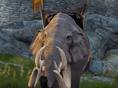 黑色沙漠大象怎么获得