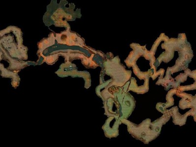 魔兽世界wlk宠物变异幼龙怎么获得