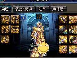 《DNF》95轻重皮伤害分析